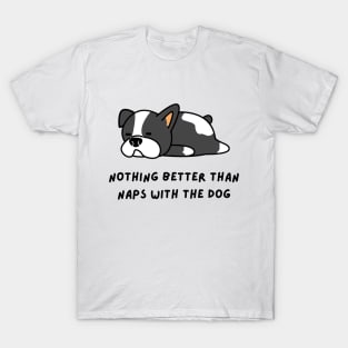 Nothing Better Than Naps With The Dog T-Shirt